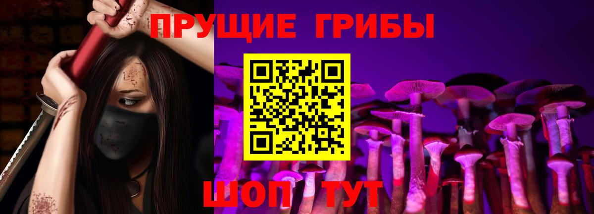 Псилоцибиновые грибы Psilocybe  Вход с VPN  Галлюциногенные грибы мицелий  Иваново 